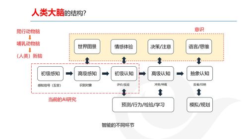 AI產(chǎn)品經(jīng)理的發(fā)展與規(guī)劃 網(wǎng)絡技術開發(fā)視角