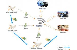 賽億科技 以網(wǎng)絡(luò)技術(shù)開發(fā)為基石，驅(qū)動物聯(lián)網(wǎng)解決方案創(chuàng)新